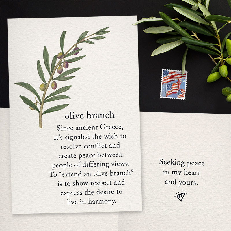 Cardthartic Meanings of Life card, Olive Branch