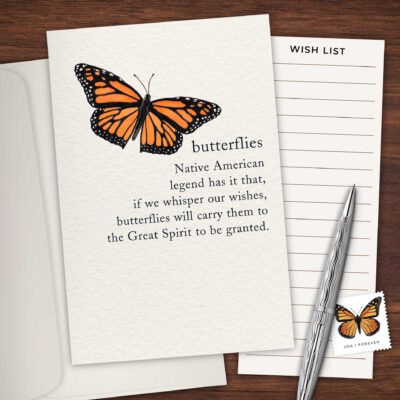 284 Butterfly Flat Lay