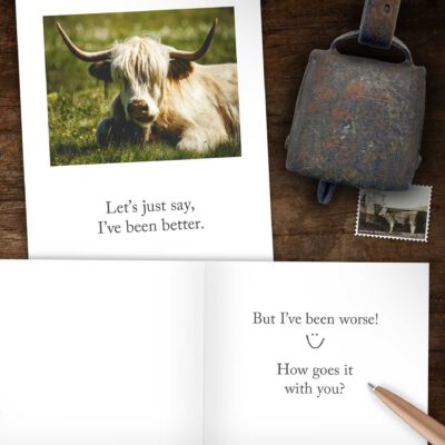 Scottish Highland Cow Flat Lay